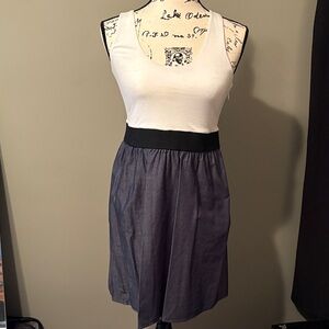 Express A-Line Dress